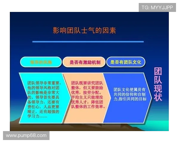 深度解析Meiko的辅助风格与团队协作核心价值 深度解析Meiko的辅助风格与团队协作核心价值