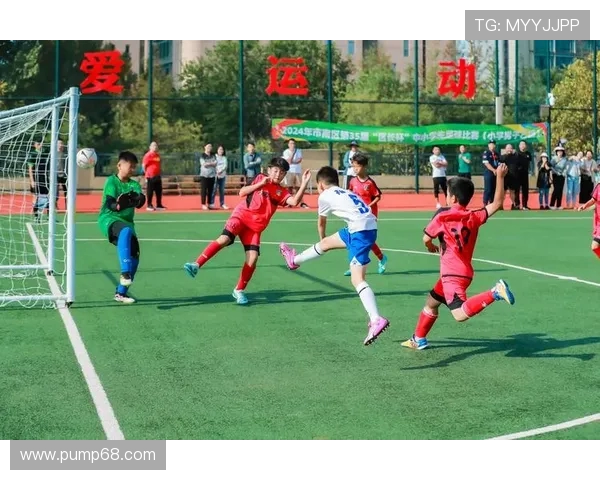 从绿茵场到人生赛场足球运动员成长励志故事解析全景展现之路篇章