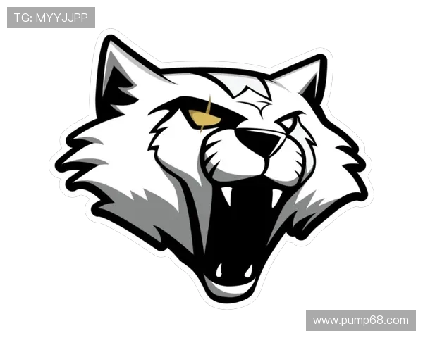 CSGO战术解析RNG战队中路突破体系的成功秘诀与实战应用