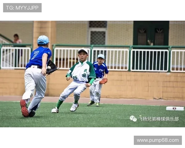 杭州乒乓球队的奋斗与荣耀：一段不平凡的突破之路纪实